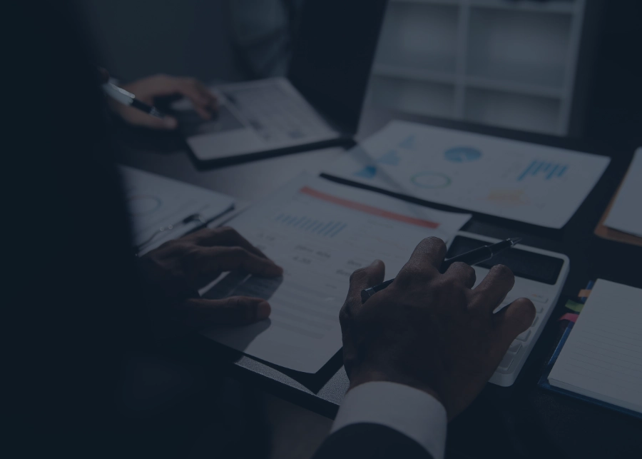 Business advisory consultation for entrepreneurs and SMEs